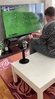 Desktop Punching Bag